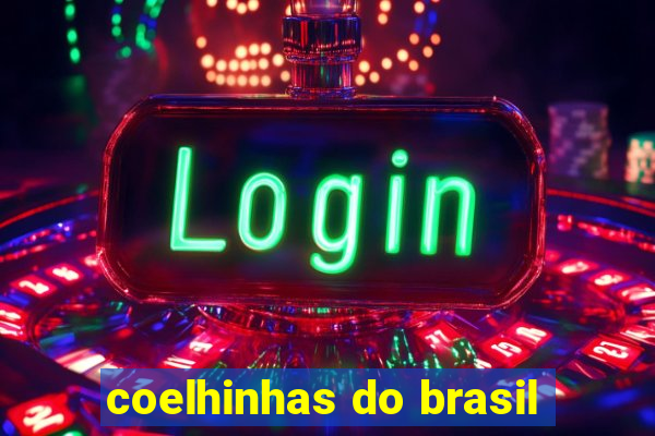 coelhinhas do brasil